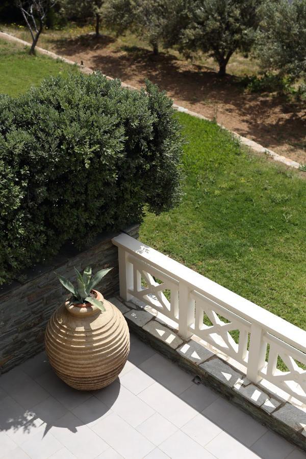 Aithra -Agios Petros Andros Villa Gavrio Luaran gambar