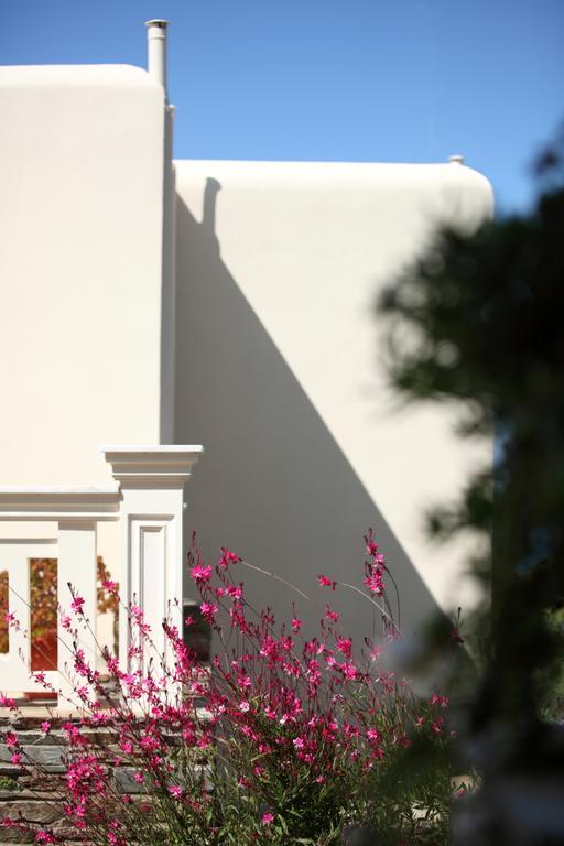 Aithra -Agios Petros Andros Villa Gavrio Luaran gambar
